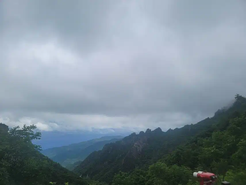 긍정의 힘-보는 즐거움!