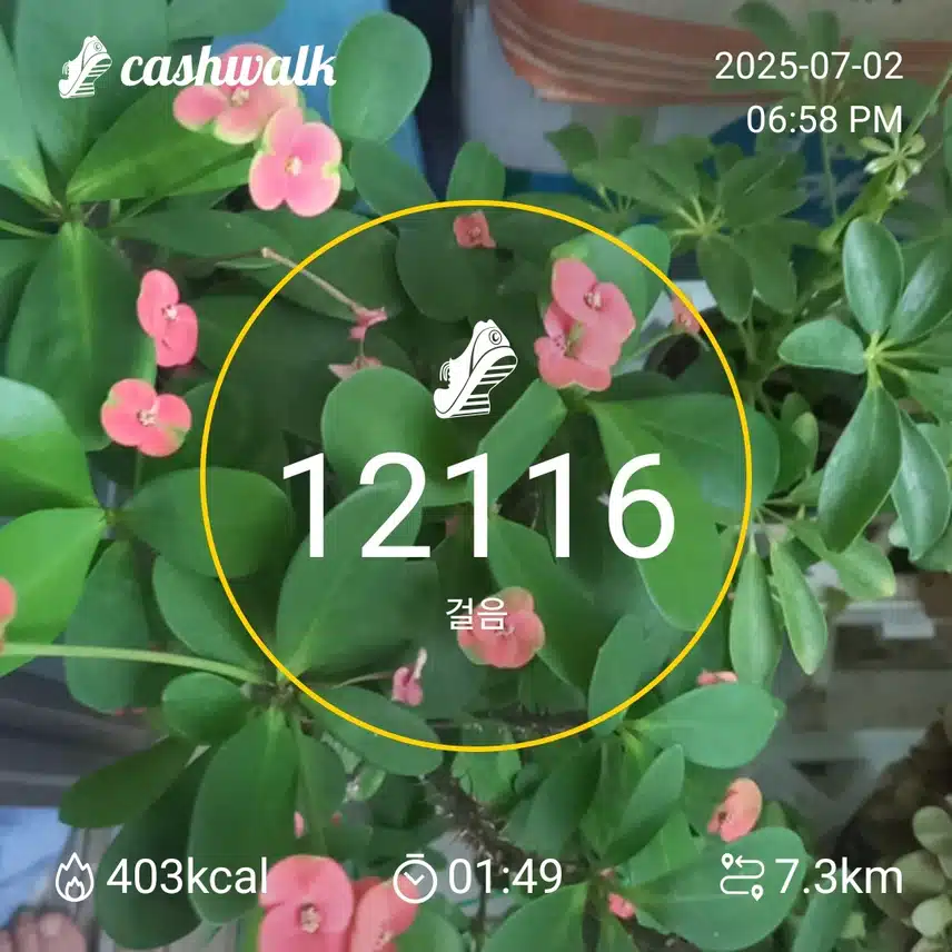 6천보걷기인증샷 (42기)