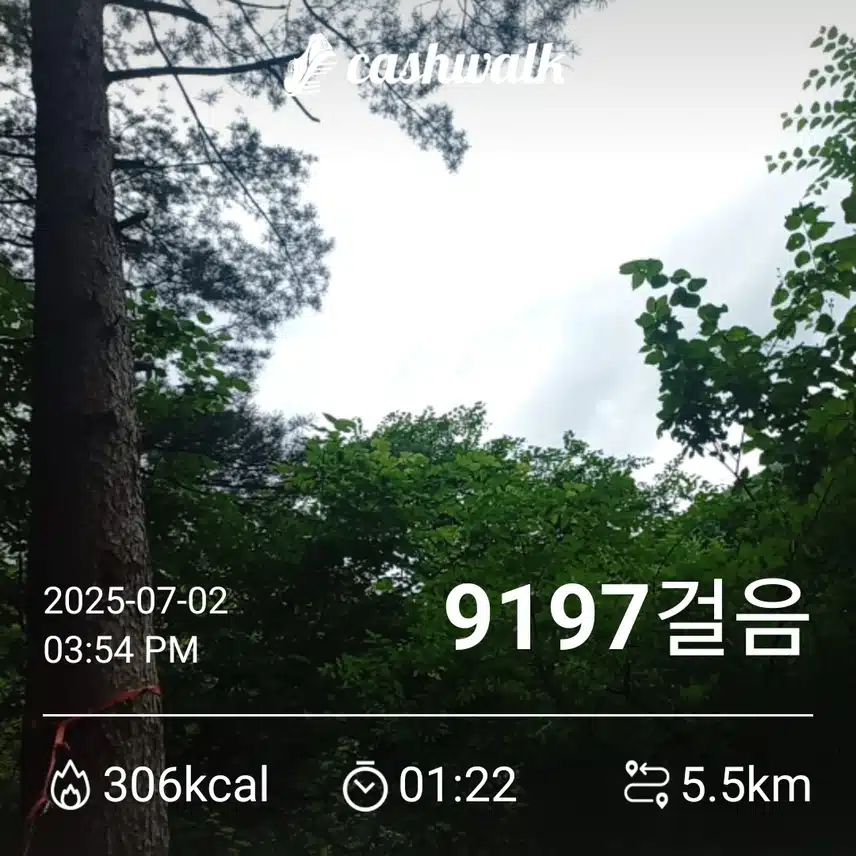 42기 7일차