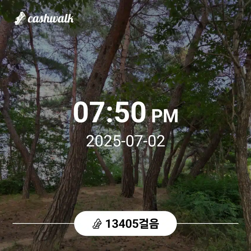 만삼천보 걸었어요 