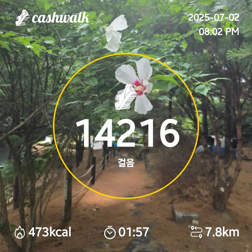 인증