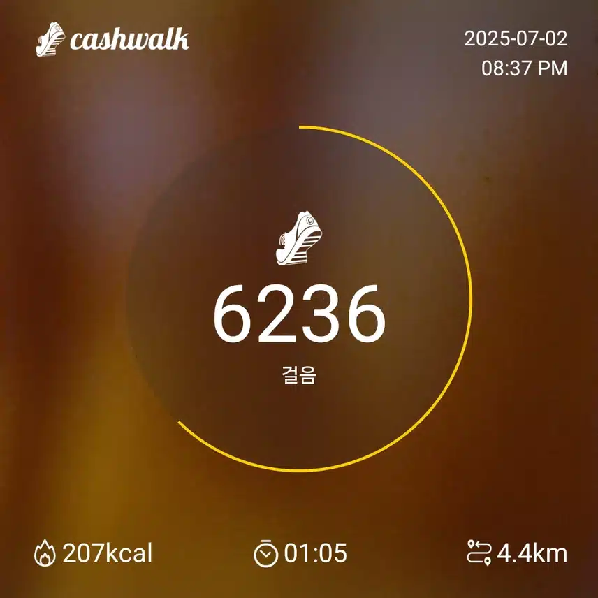 인증