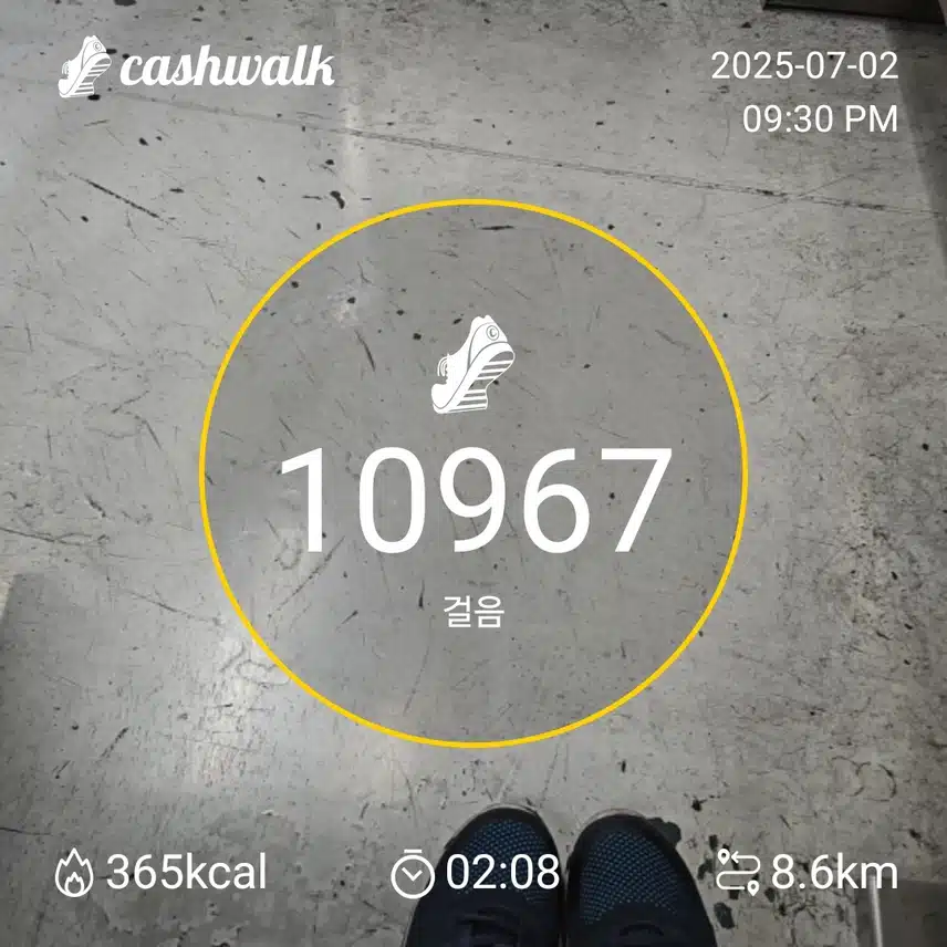 인증
