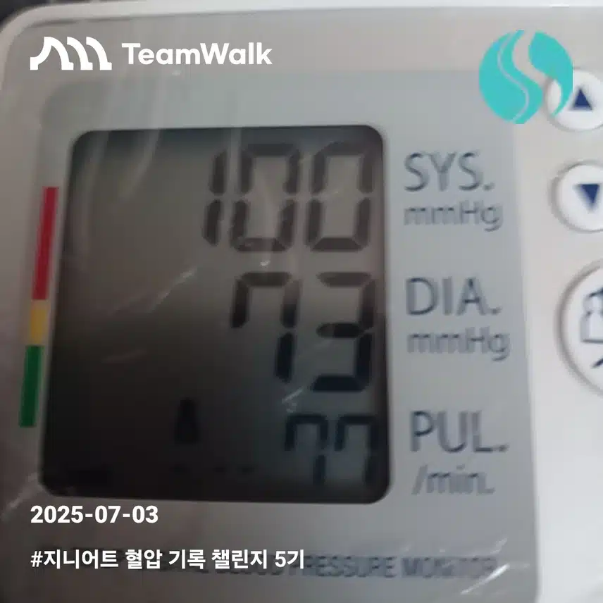 혈압11일차인증