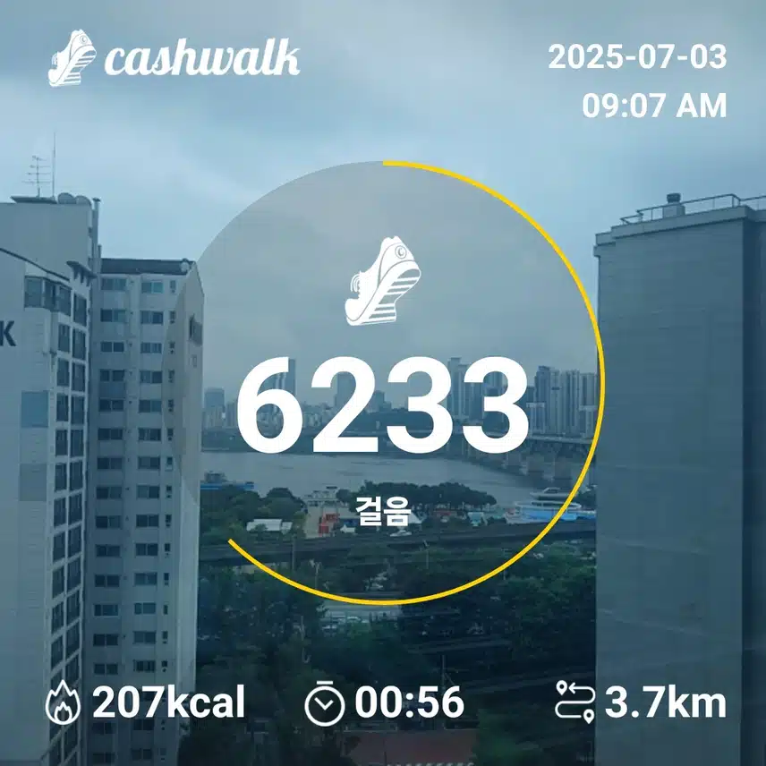 인증 