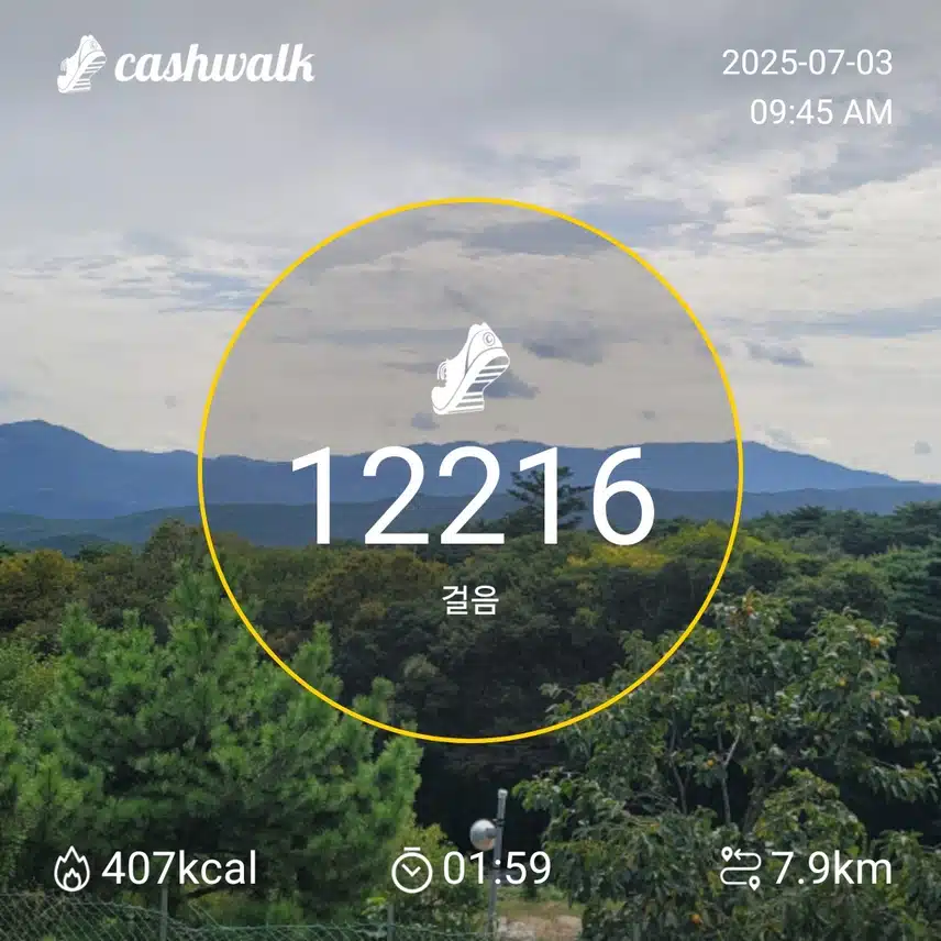 인증 
