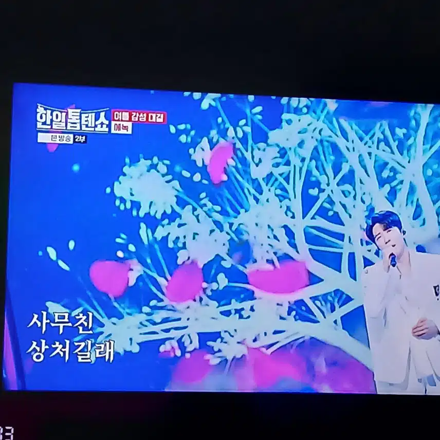 여름 감성대결이면 딱 에녹님이지요