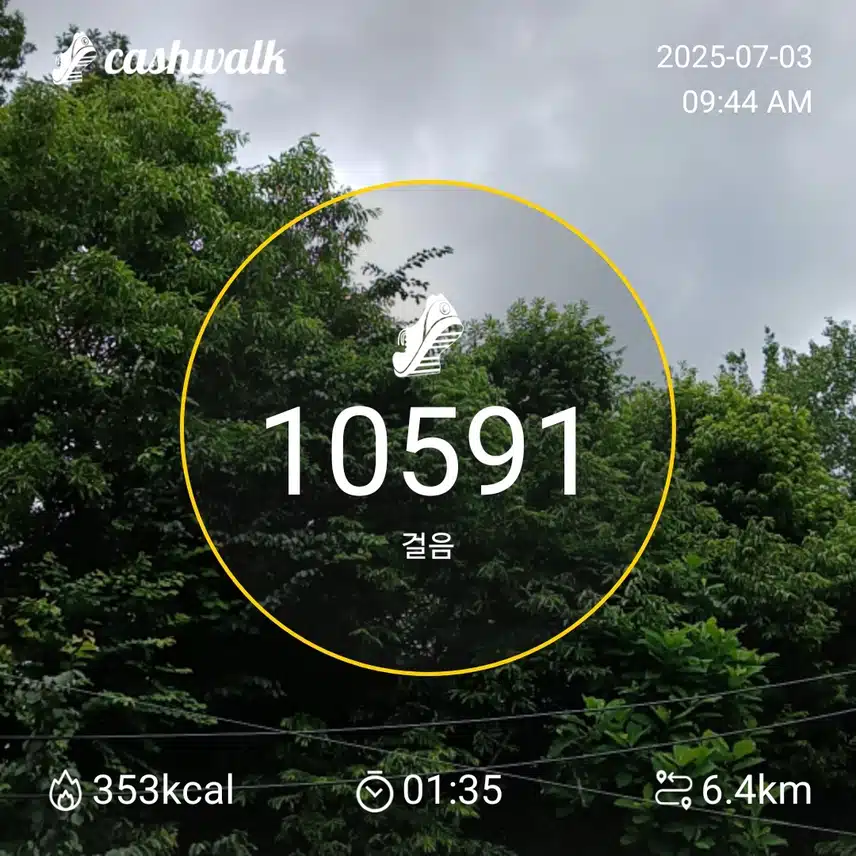 6천