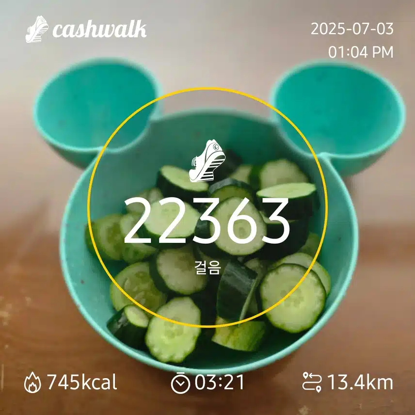 만보걷기 1.72일차 인증