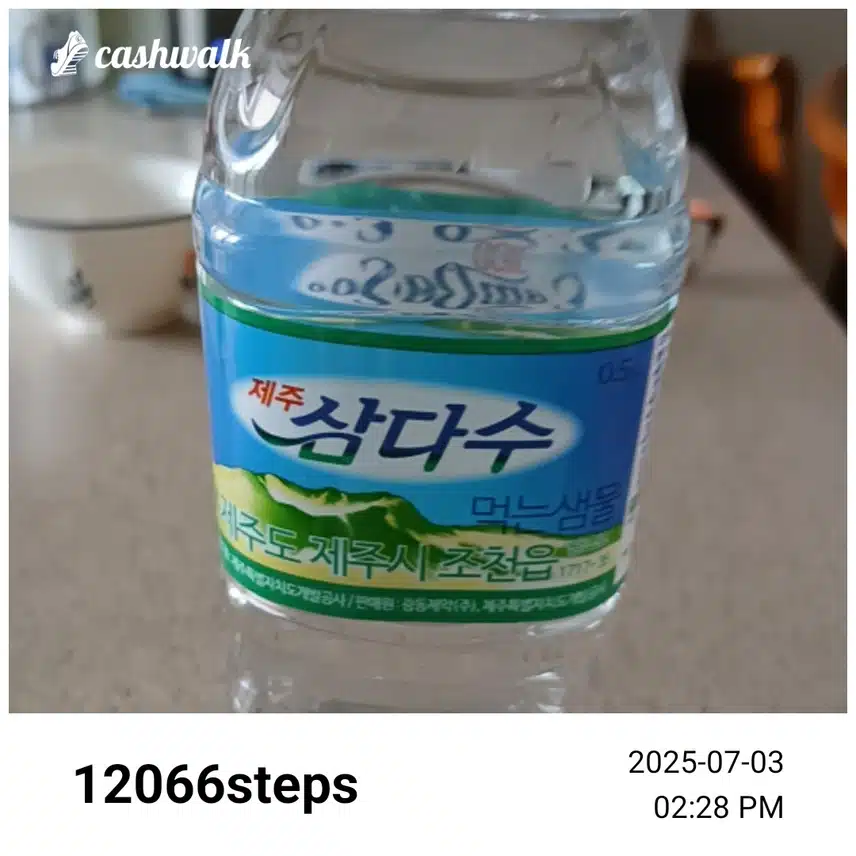 인증 