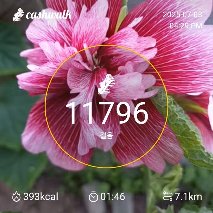인증