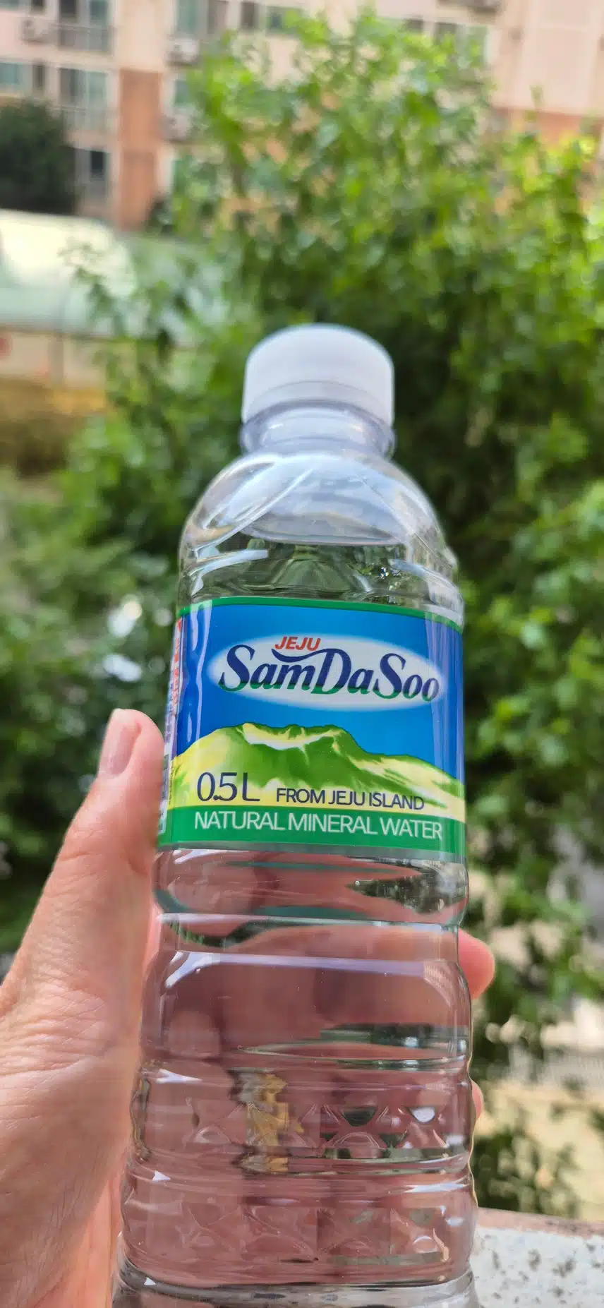덥다 더워서 좋아마심!!