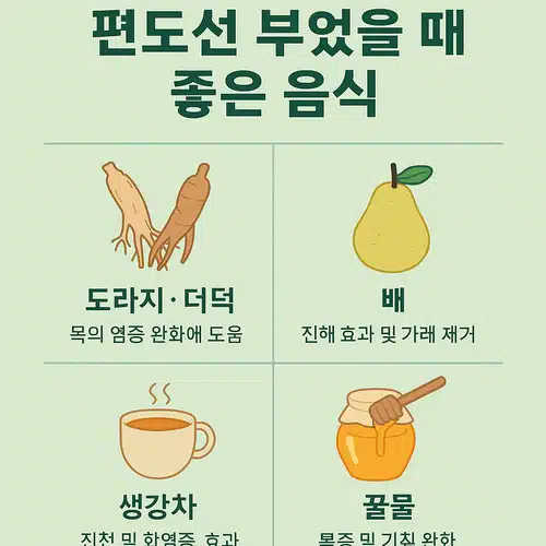 편도선 부었을 때 이렇게 대처하자! 약·음식·타이레놀 총정리
