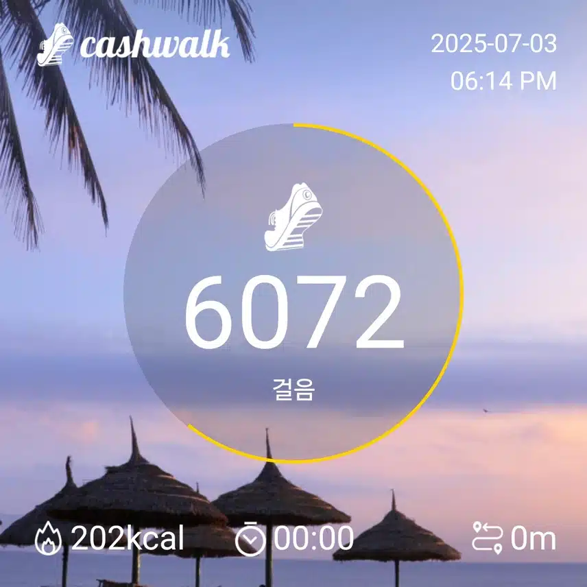 오늘 육천보