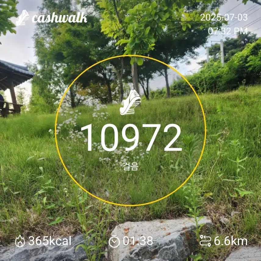 인증