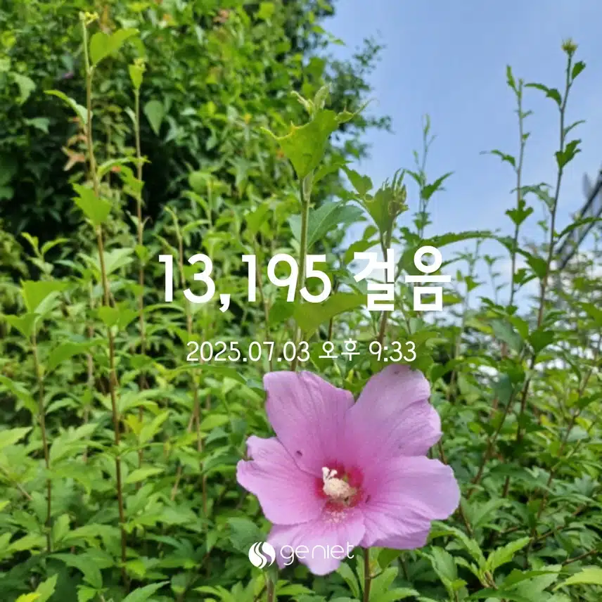 목욜걸음 