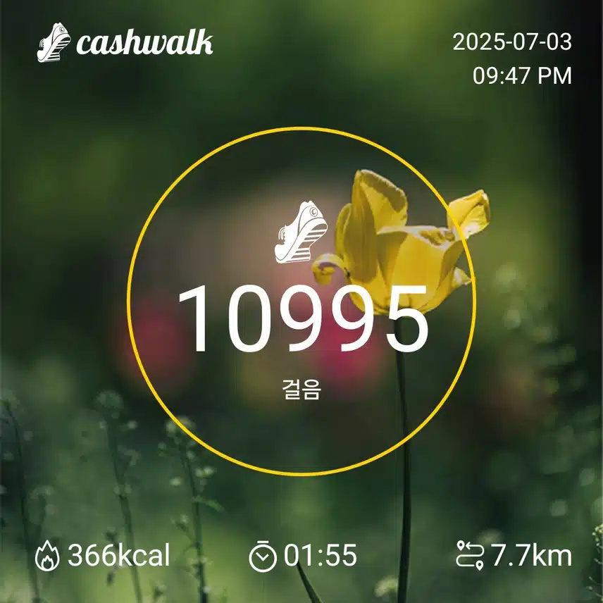 인증