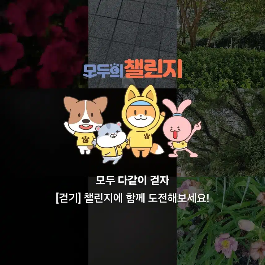 인증