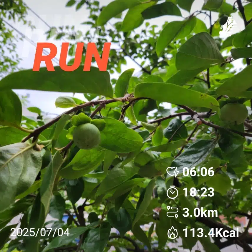 금요일 아침 러닝 3km