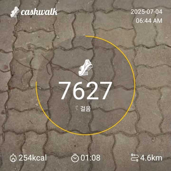 인증 