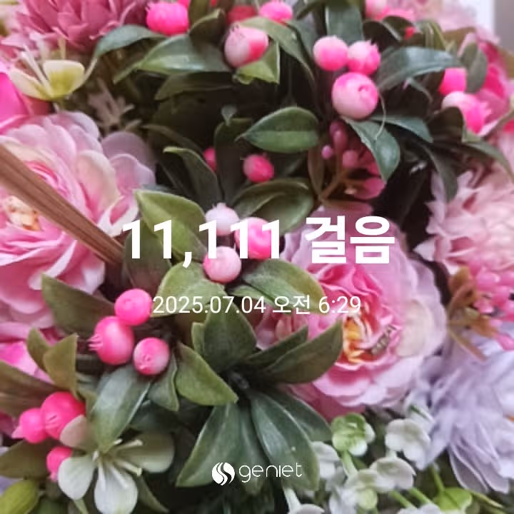 오전 운동 