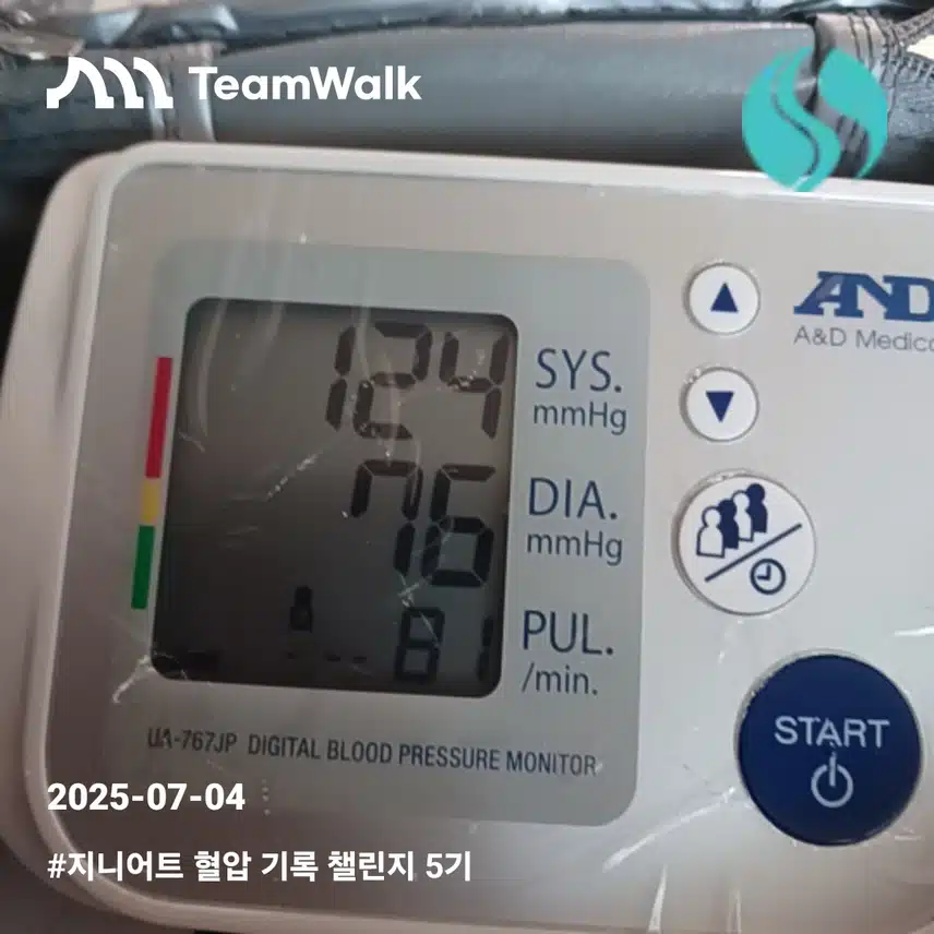 혈압12일차인증