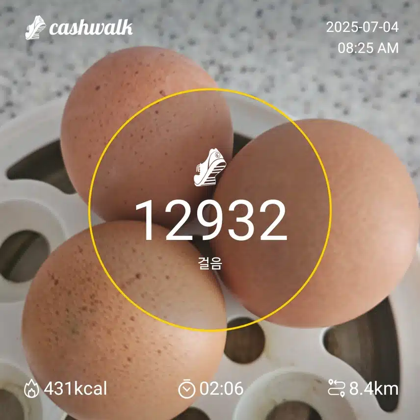 인증