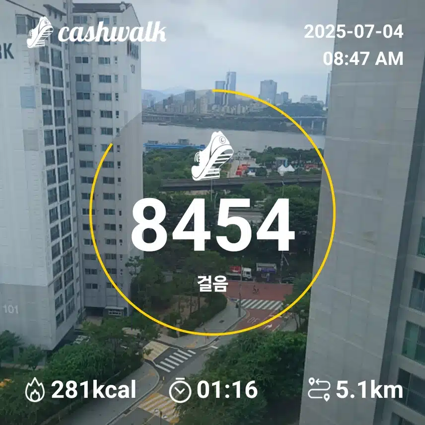 인증 