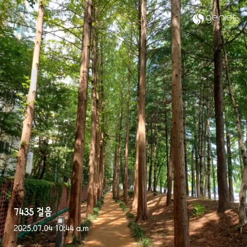 오전 걷기 