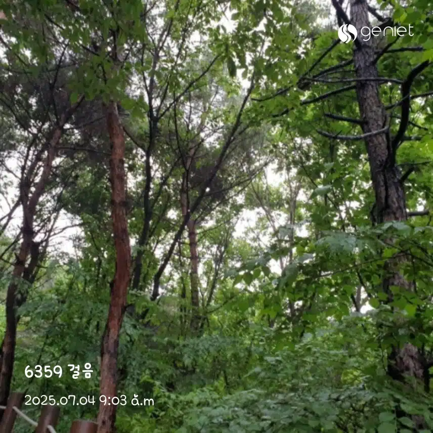 오전 산책~