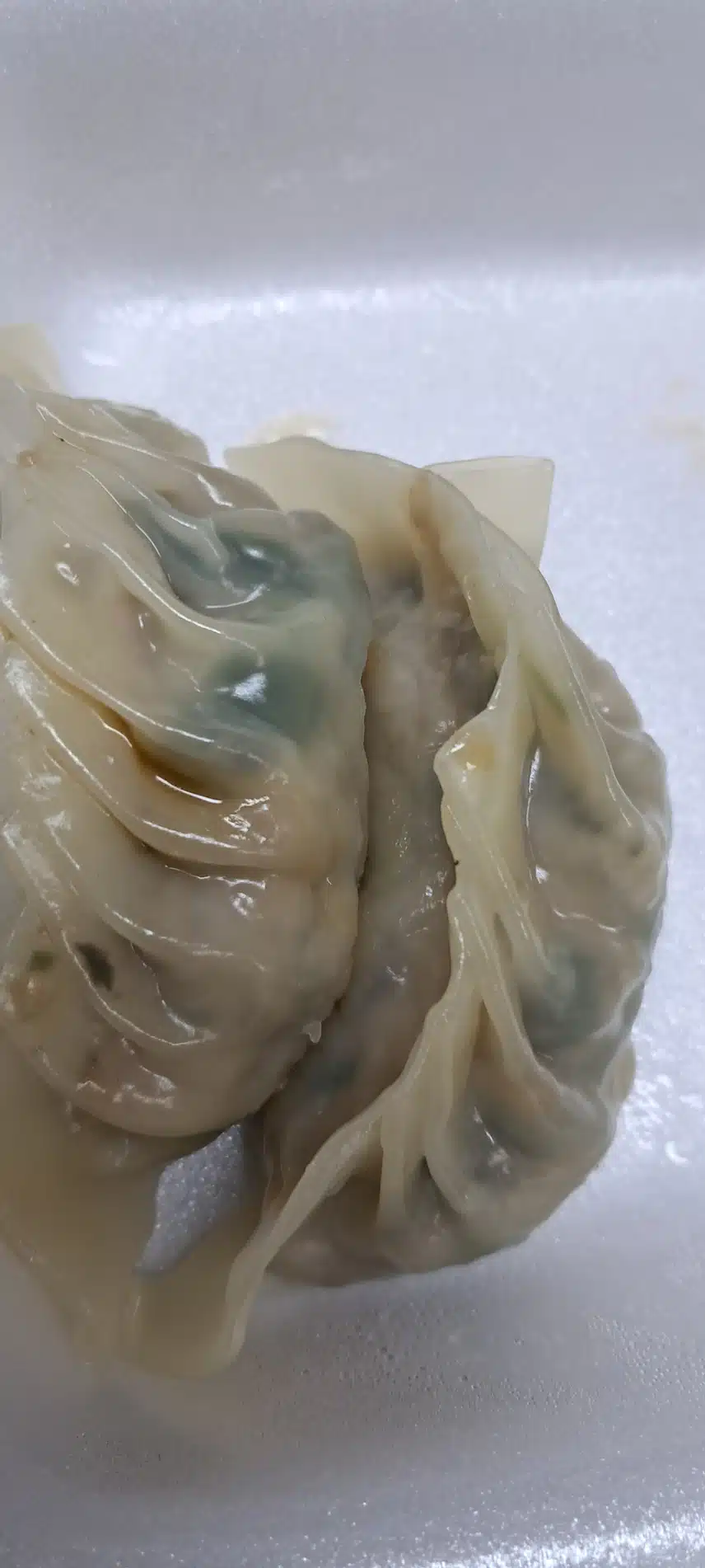 찐빵과 만두