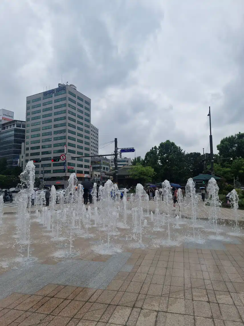 식후 걷기