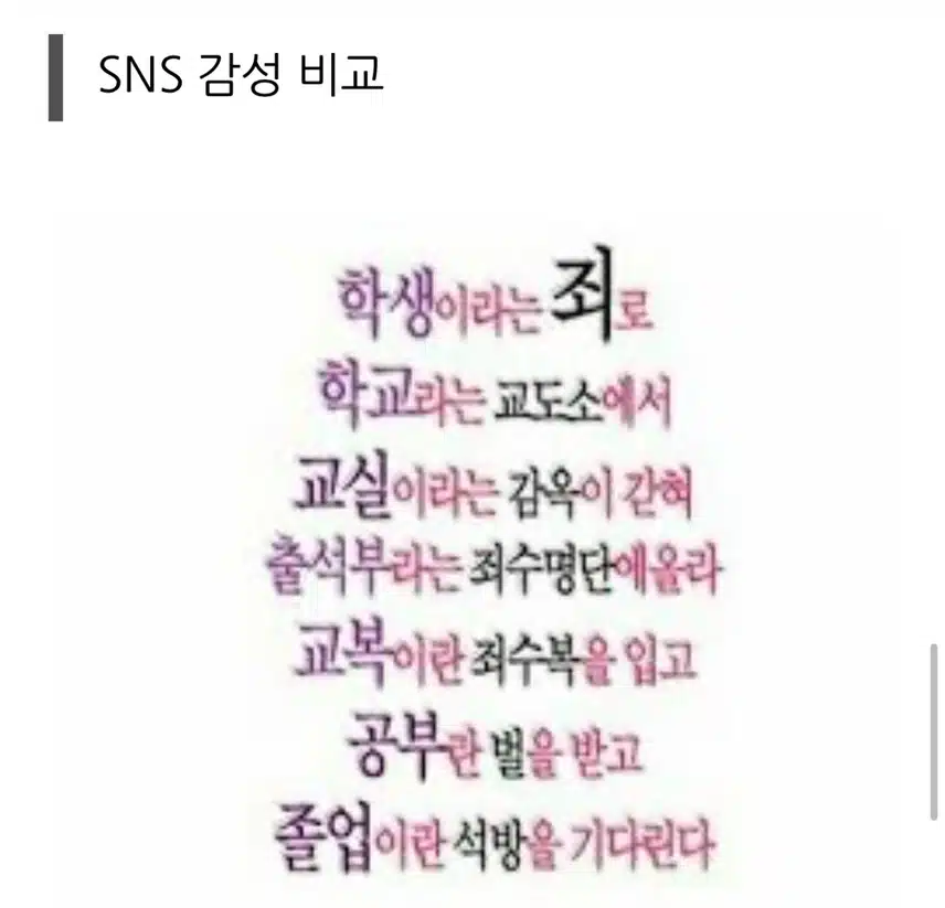세대별 각종 생활, 문화 비교