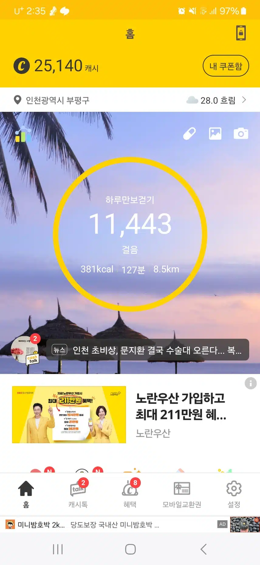 인증완료 