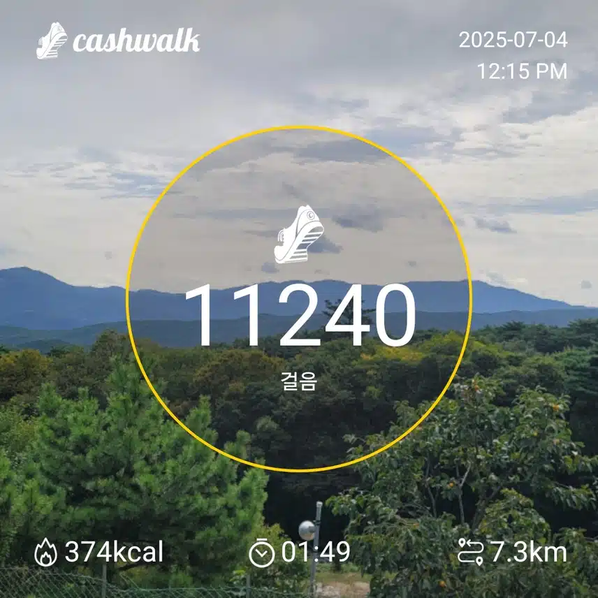인증 