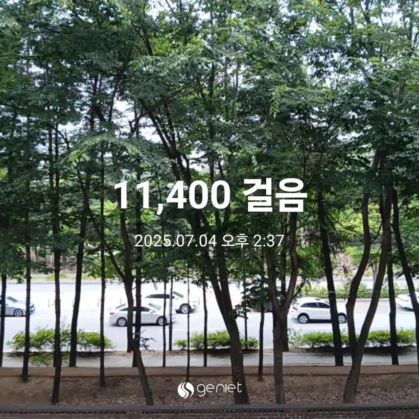 금요일 걷기운동^^