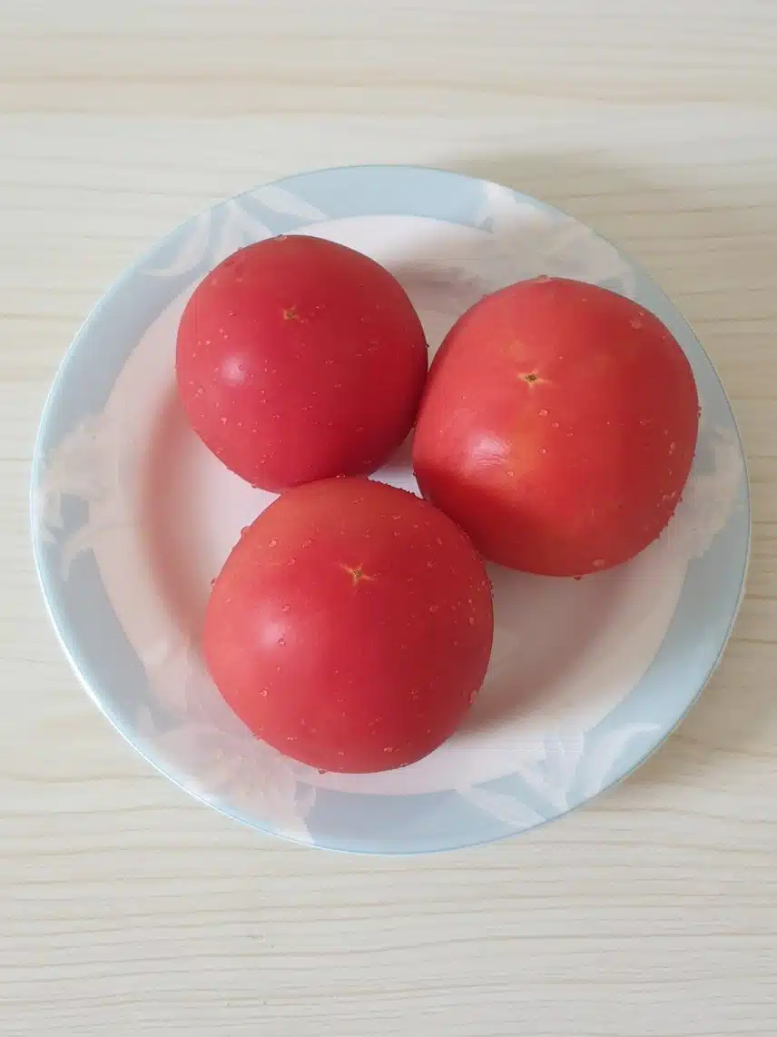 토마토 