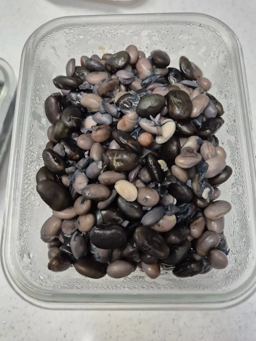 꼬소한 콩물~