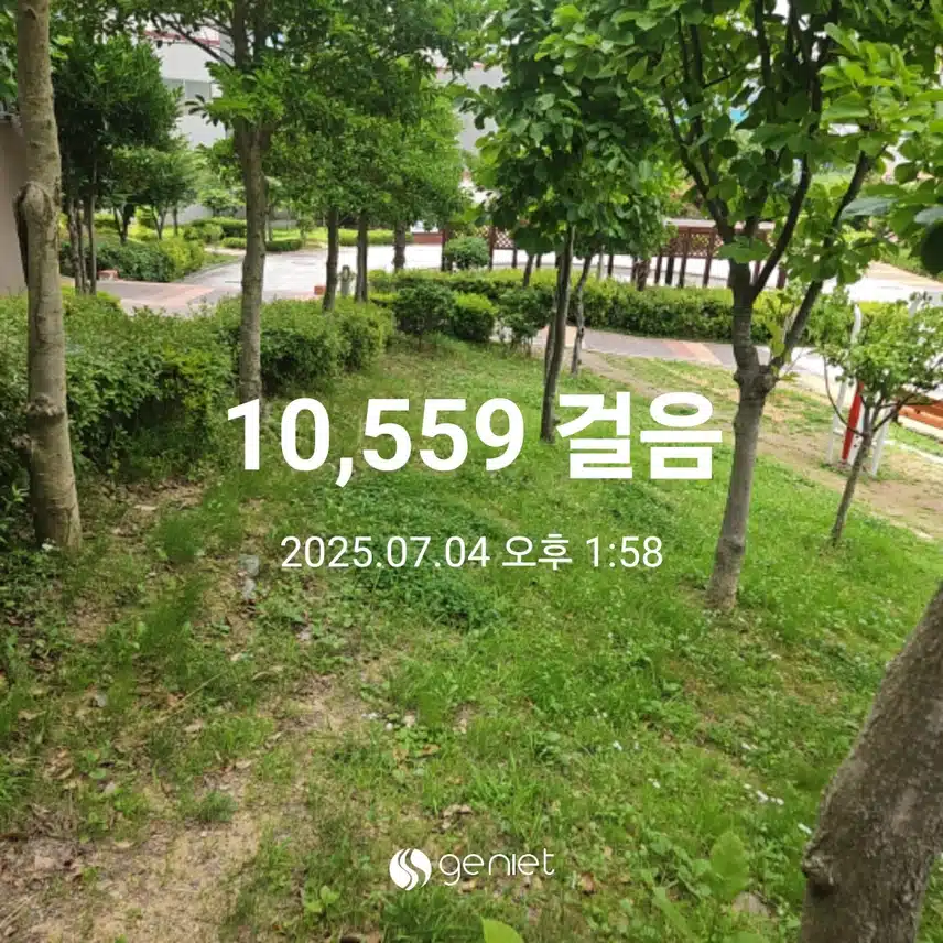 점심 후 걷기와 계단오르기로 🏃 
