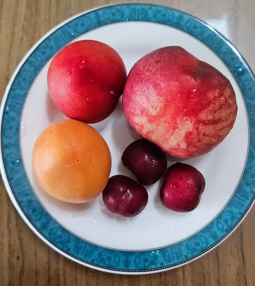과일로 비타민 충전 🍑🍒