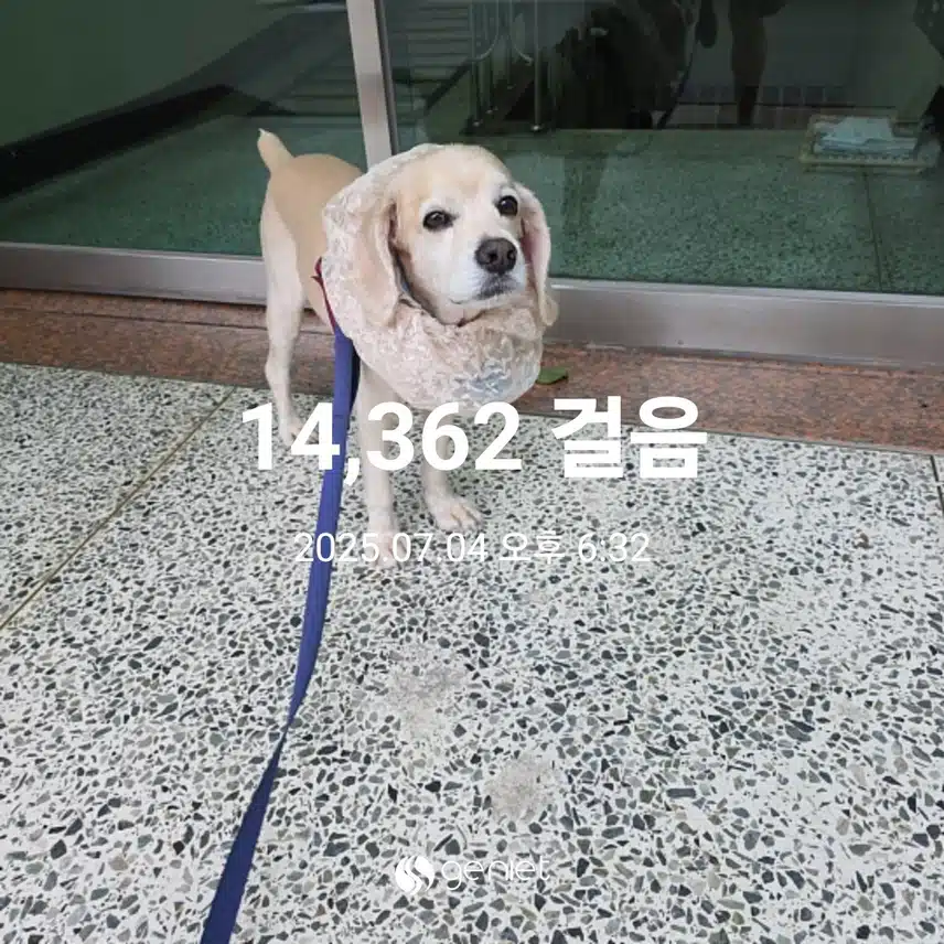 금요일 마무리 