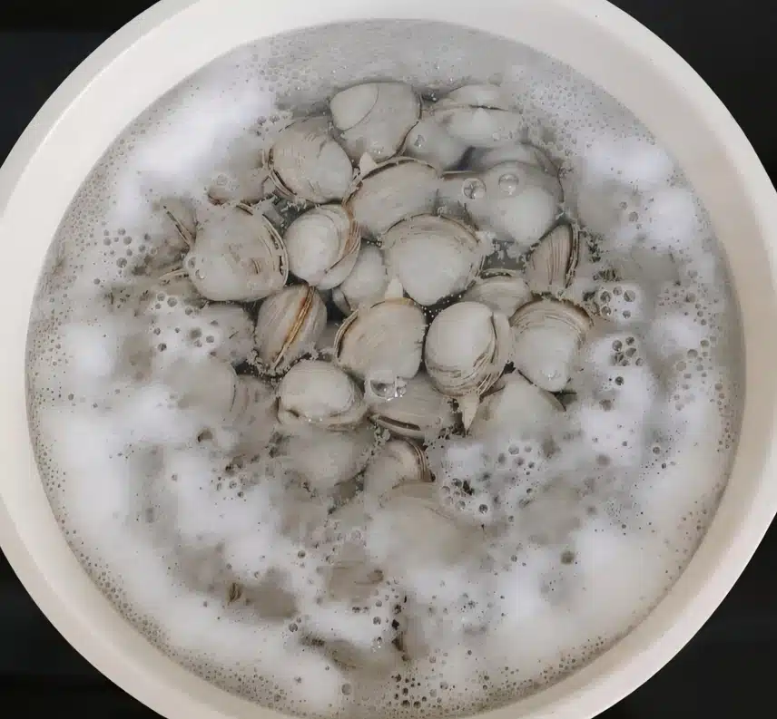 시원한 동죽 조개탕 끓였어요~