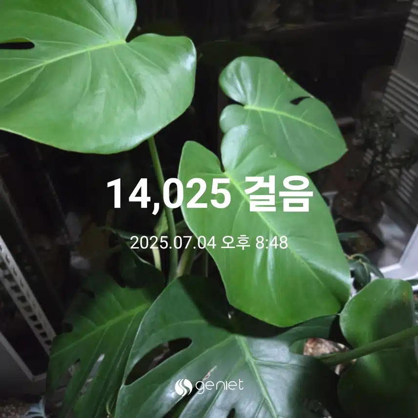 만사천보 걸었습니다 