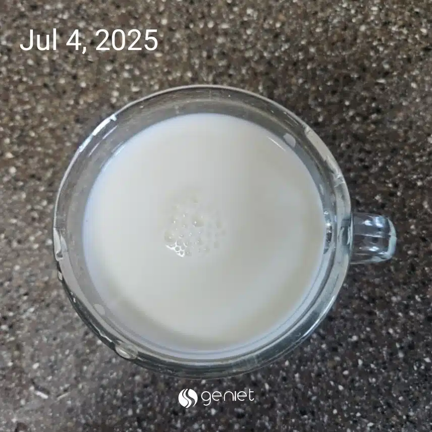 천연 안정제 우유 한 잔으로 🥛 🥱