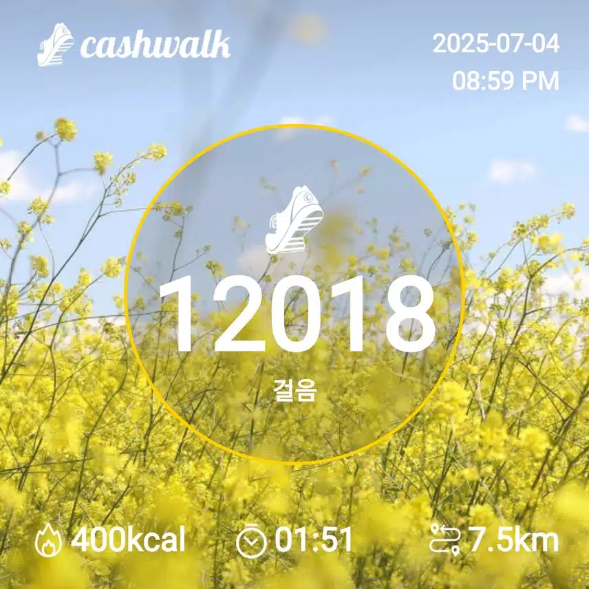 6천보걷기 