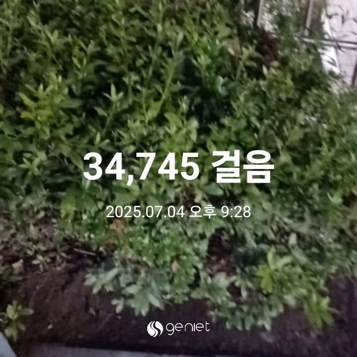삼만보 걷기 