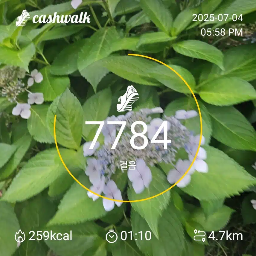 42기9일차