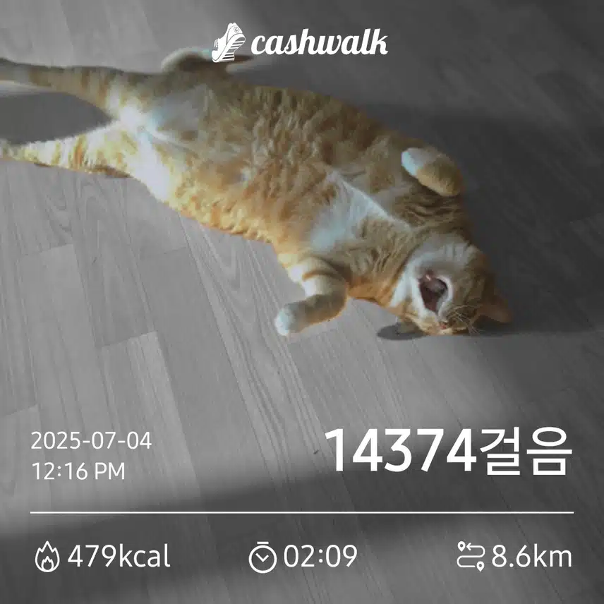 만보걷기 1.73일차 인증