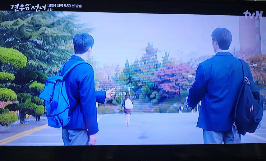 인간부적은 스킨쉽을 해줘야 한대요