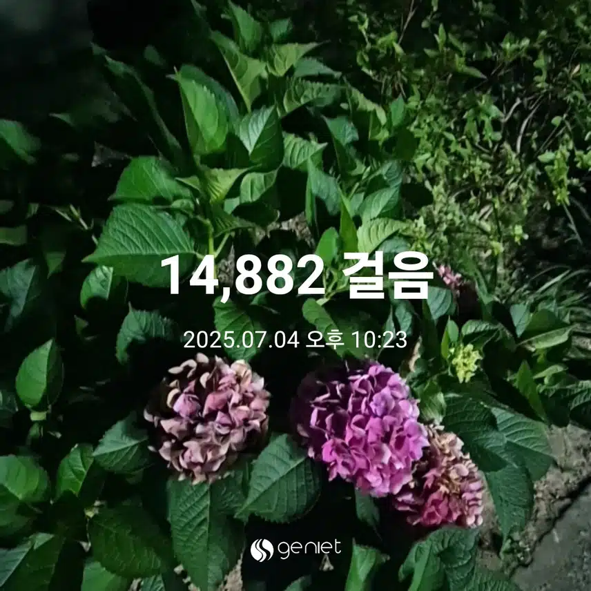만보 걷고 왔어요.